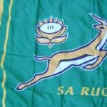 L'antilope pourrait bien quitter le maillot du XV d'Afrique du Sud