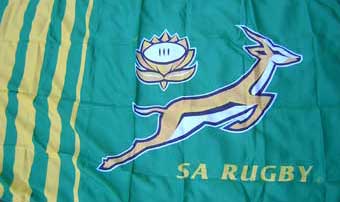 L'antilope pourrait bien quitter le maillot du XV d'Afrique du Sud